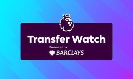 這一決定引 這一決定引