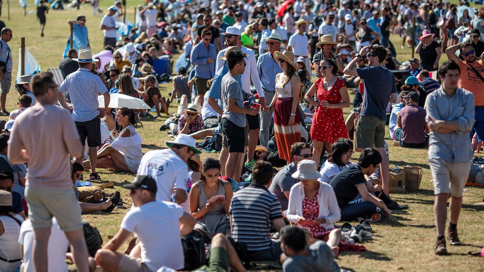 的中坚力量 的中坚力量