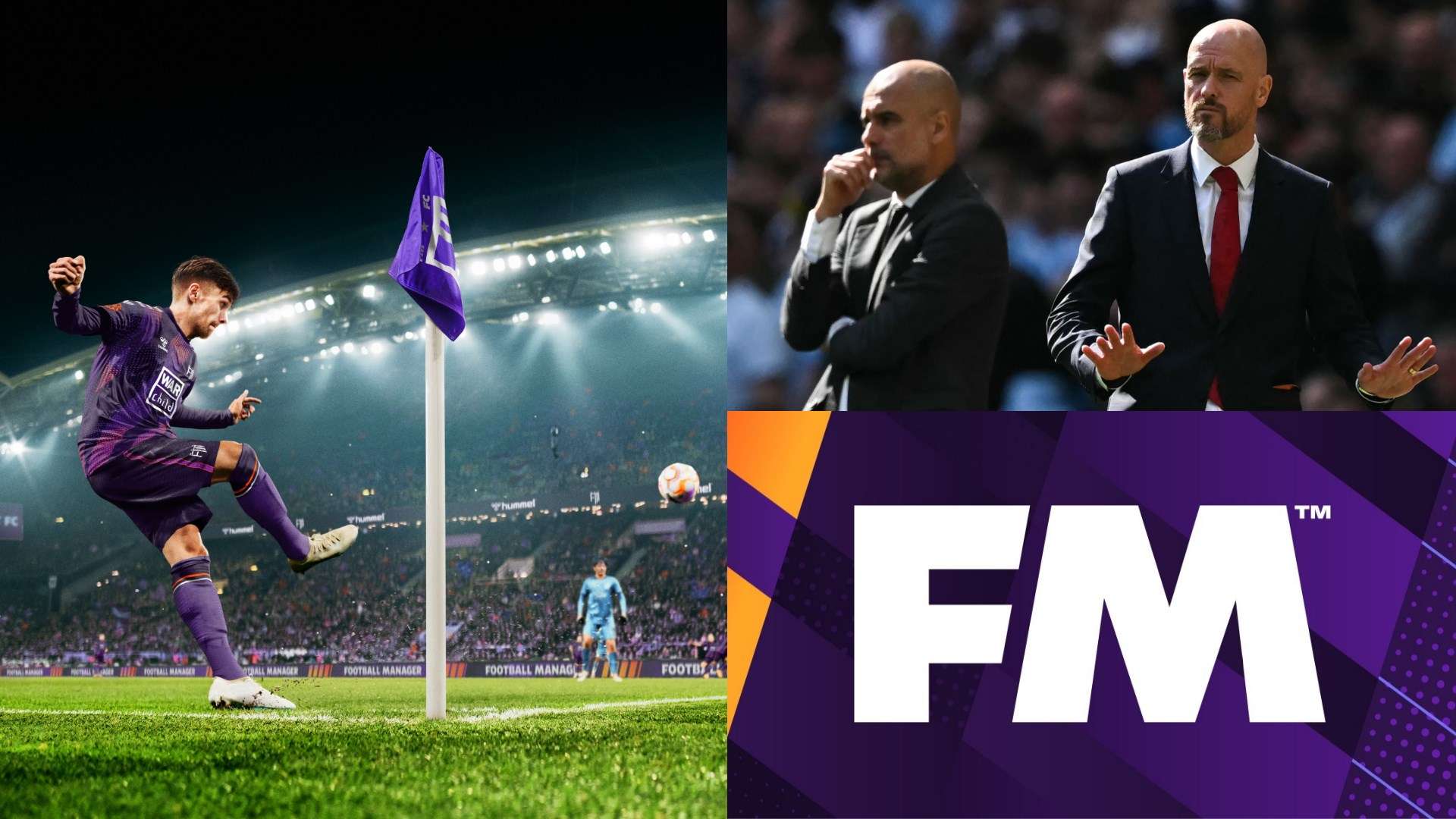 的稳健拦网 的稳健拦网